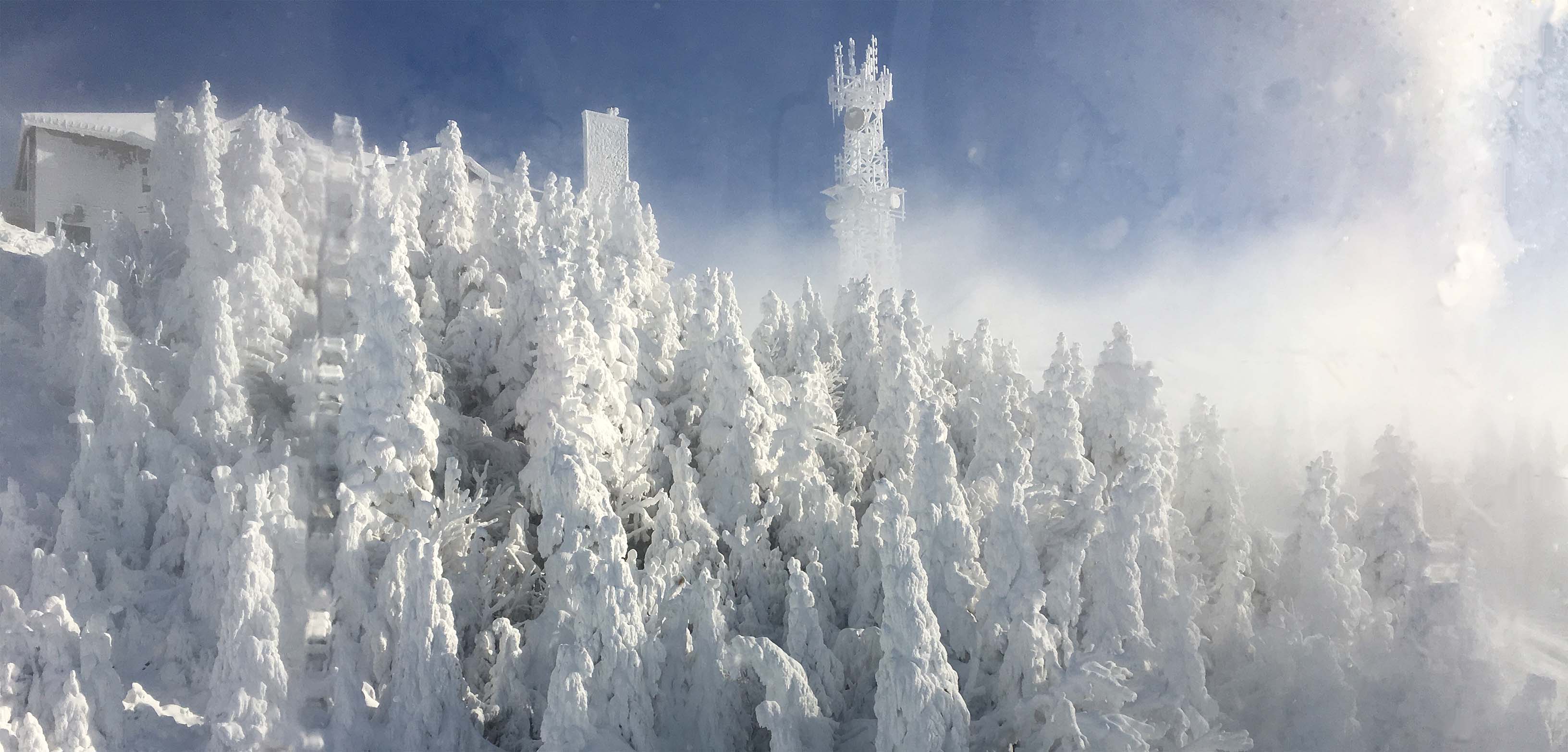 Ski dans un paysage ferique